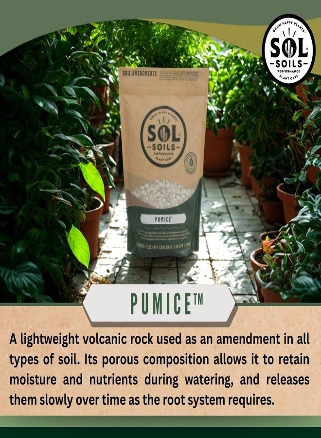 Sol Soils Horticultural Pumice - Lightweight, All-Natural Volcanic Rock Soil Amendment to Improve Drainage, Aeration & Maintain Moisture Balance – Filtered 3/8" to 1/4" - 2 Quarts - Image 3